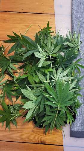Growreport Bild 2