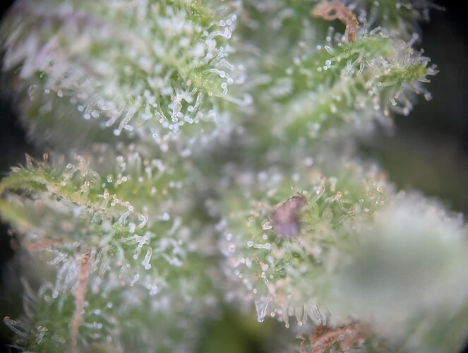 Growreport Bild 17