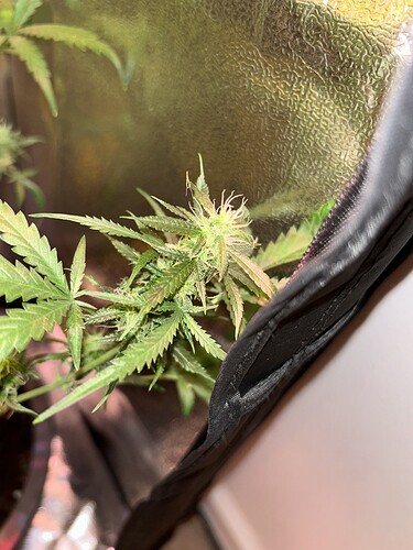 Growreport Bild 13