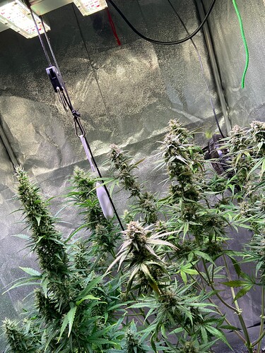 Growreport Bild 12