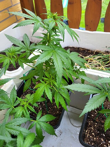 Growreport Bild 15