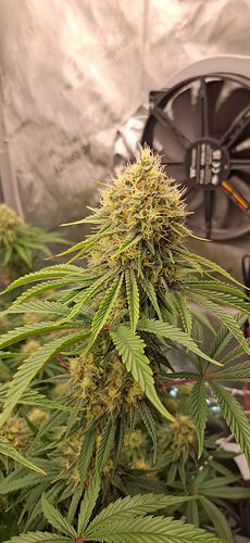 Growreport Bild 14