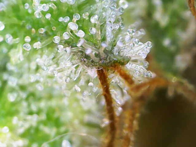 Photo_2024-12-13 14_44_52_169