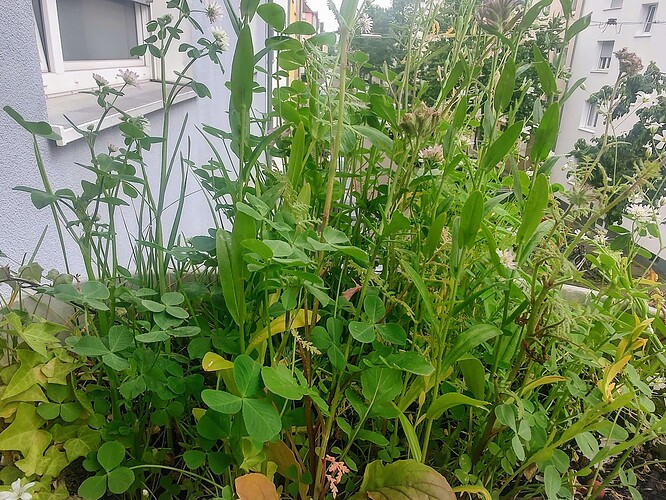 Growreport Bild 16