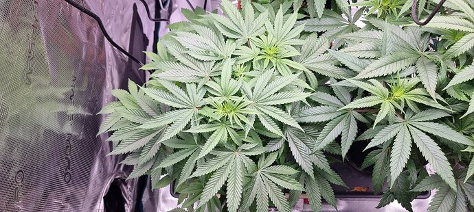 Growreport Bild 8