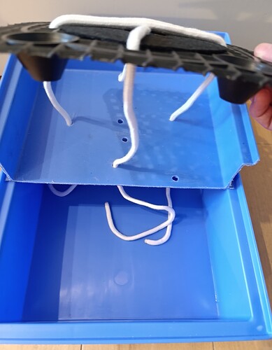 Growreport Bild 8
