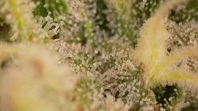 2025-10-22-075234137