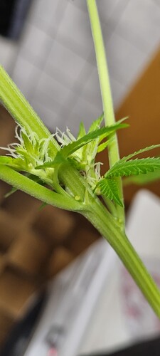 Growreport Bild 10