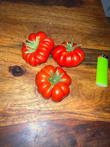 Growreport Bild 11