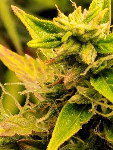 Growreport Bild 12