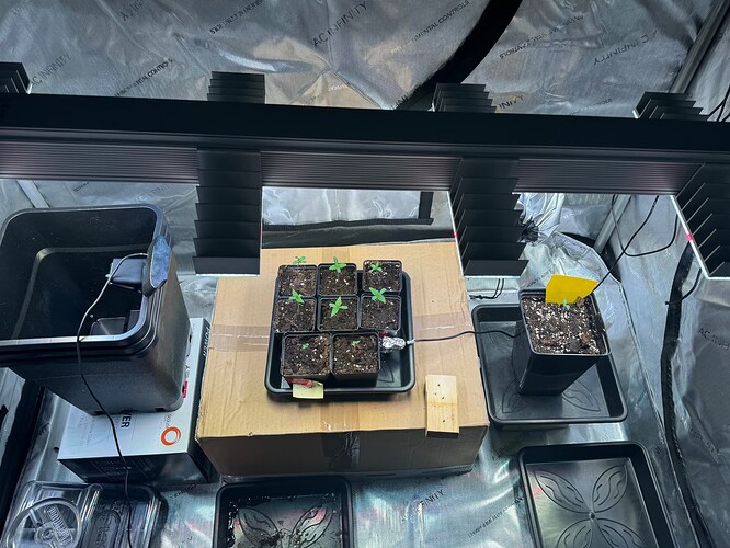 Growreport Bild 22
