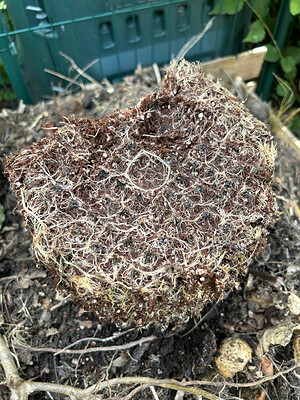 Growreport Bild 16