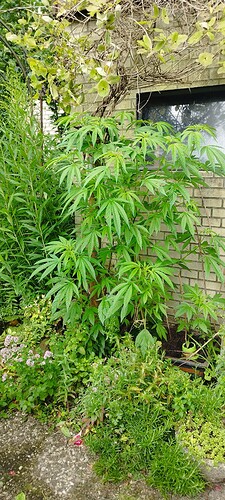 Growreport Bild 9