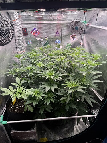 Growreport Bild 18