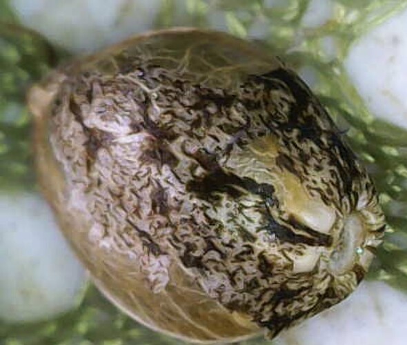 Image_2025-04-10 10_06_12_690