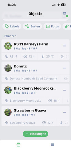Growreport Bild 14