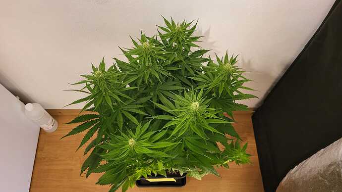 Growreport Bild 23
