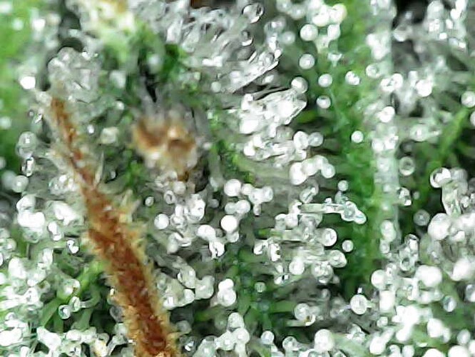 Photo_2025-04-28 16_29_11_104