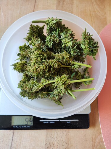 Growreport Bild 15