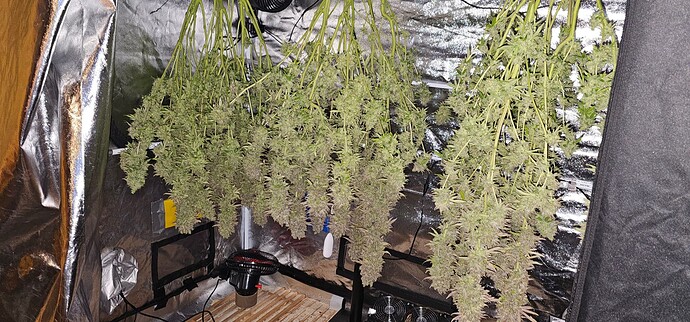 Growreport Bild 57