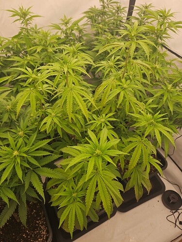 Growreport Bild 10