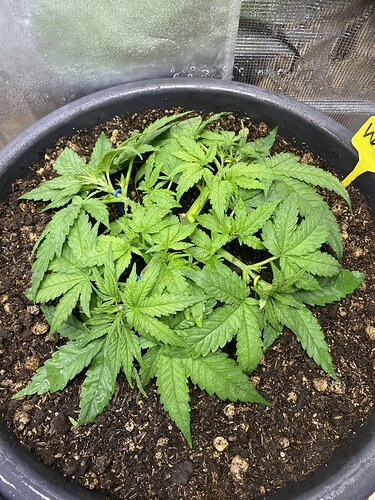 Growreport Bild 23