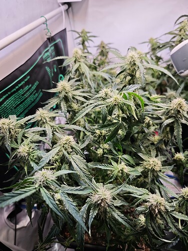 MVIMG_20251103_190413