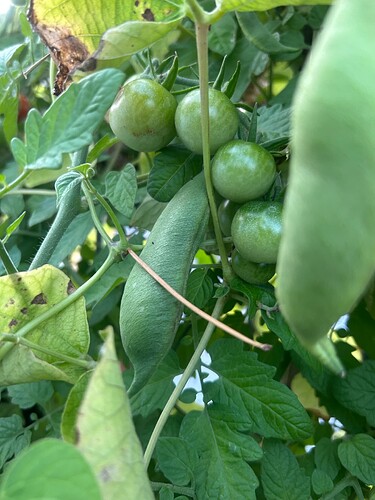 Growreport Bild 94