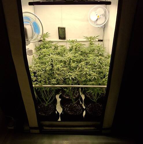 475261816_122165273924293599_5073779099578517359_n