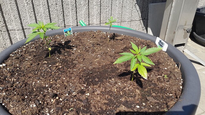 Growreport Bild 12