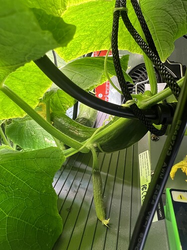 Growreport Bild 22