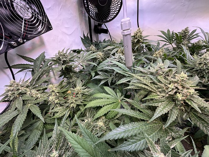 Growreport Bild 6
