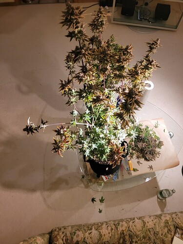 Growreport Bild 8