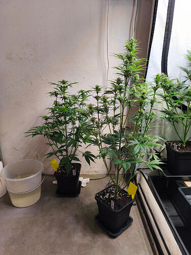 Growreport Bild 2