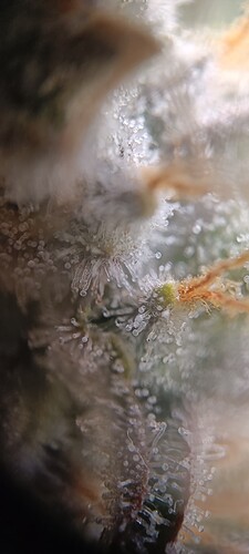 Growreport Bild 12