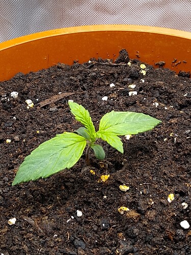 IMG_20240422_131837683