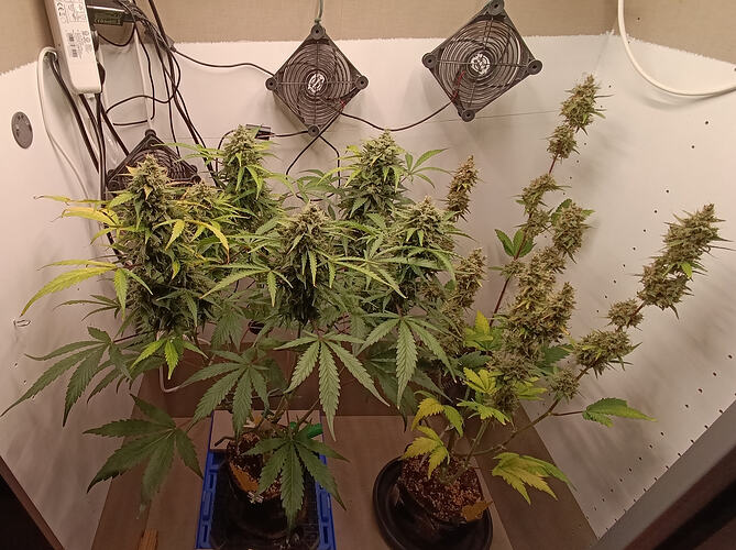 Growreport Bild 10