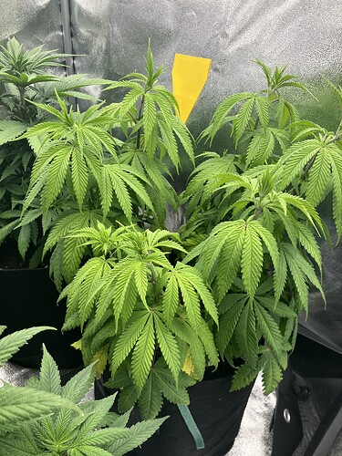 Growreport Bild 11