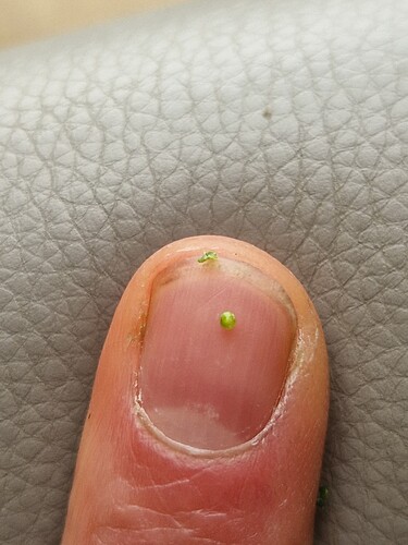 Growreport Bild 8
