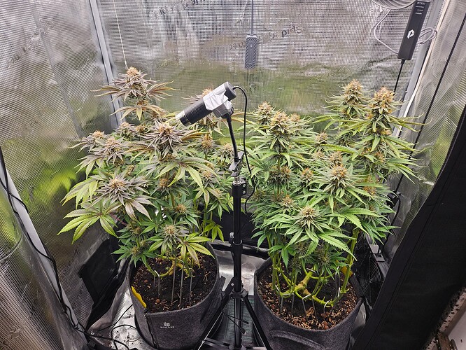Growreport Bild 22