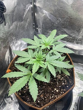 Growreport Bild 21