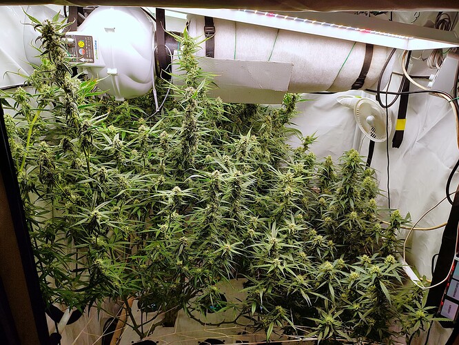 Growreport Bild 23