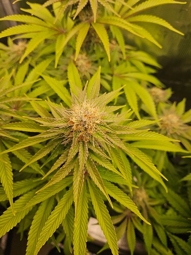 Growreport Bild 18