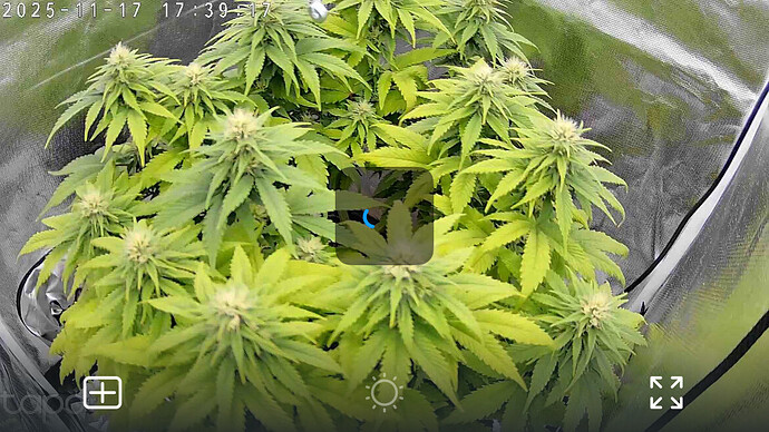 Growreport Bild 10