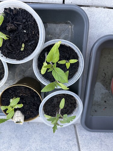 Growreport Bild 17
