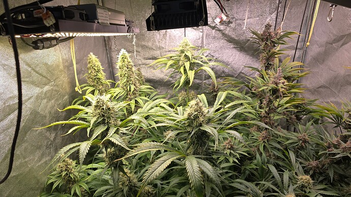 Growreport Bild 18