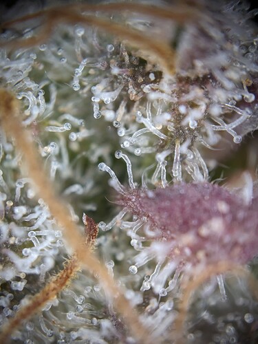 PXL_20240224_000829687.MP