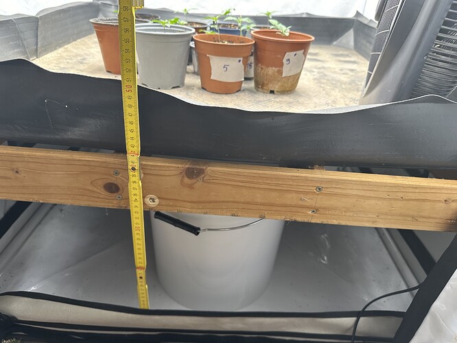 Growreport Bild 1
