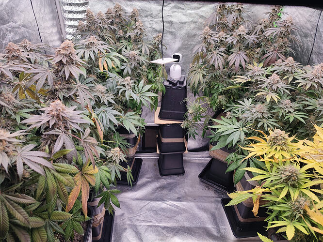 Growreport Bild 40