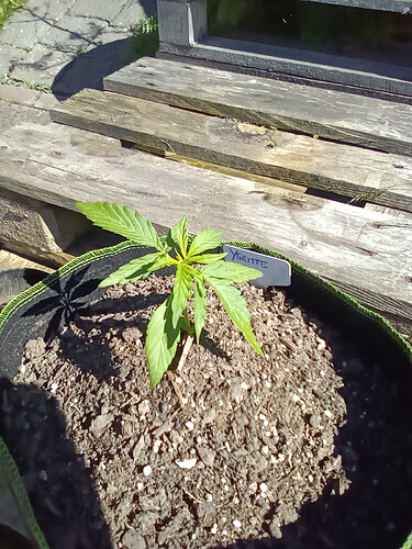 IMG_20240515_095817_0